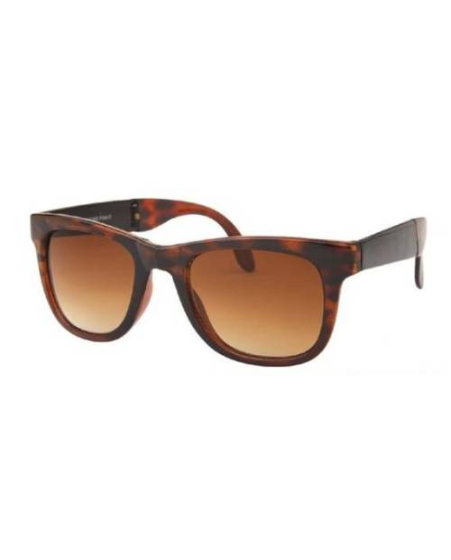 Sunglasses Wayfarer Scale Type