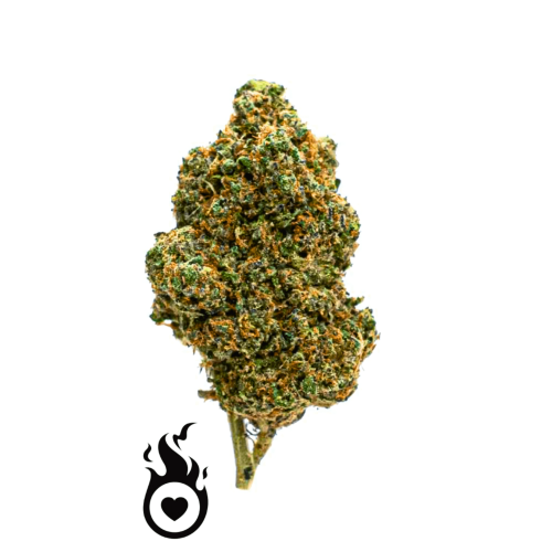 OG Kush H4CBD: Powerful Legal Cannabis Flower! FREE H4CBD Shipping!